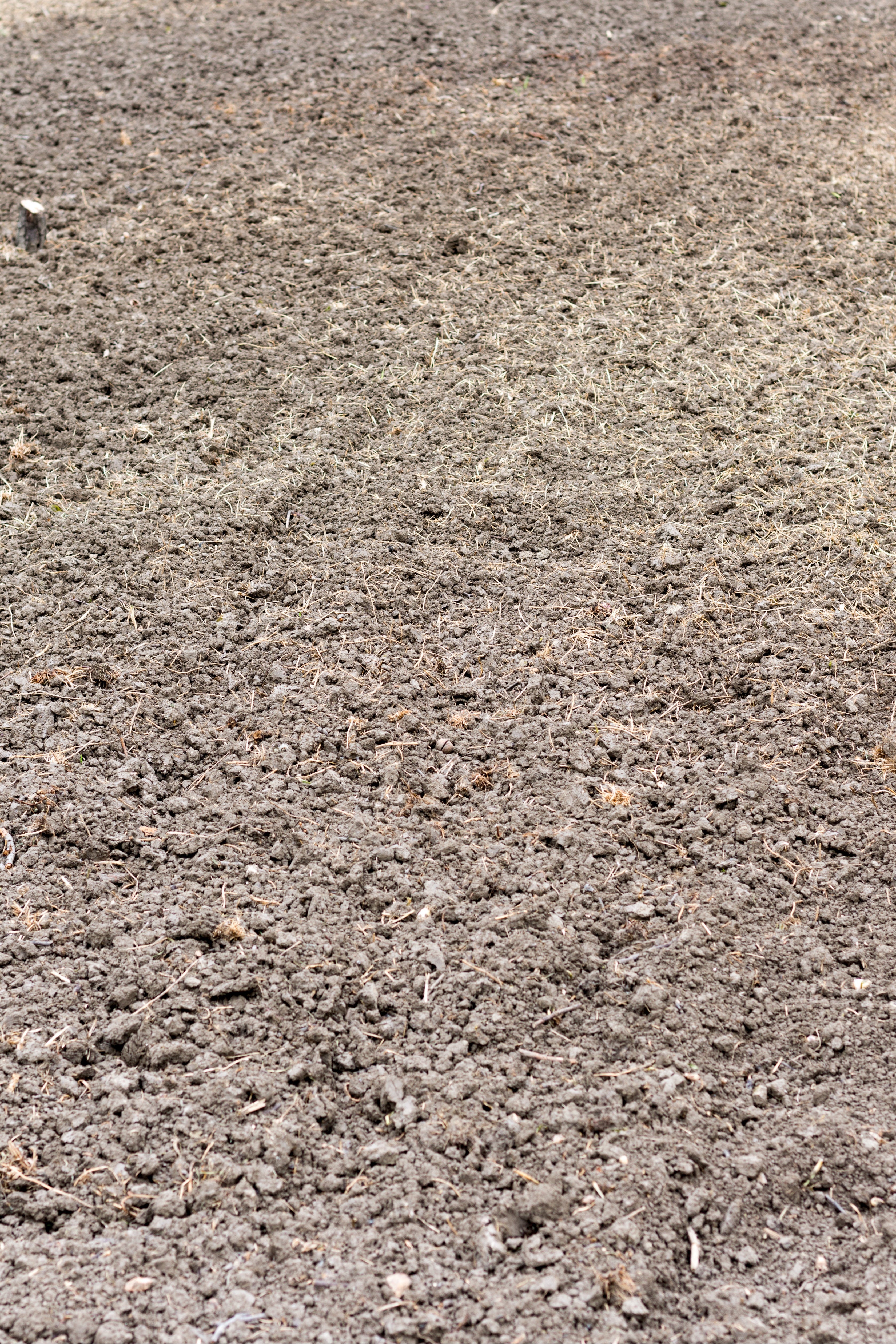 AdobeStock_107829215.jpg