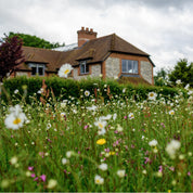 House with a garden of wildflowers on a cloudy day