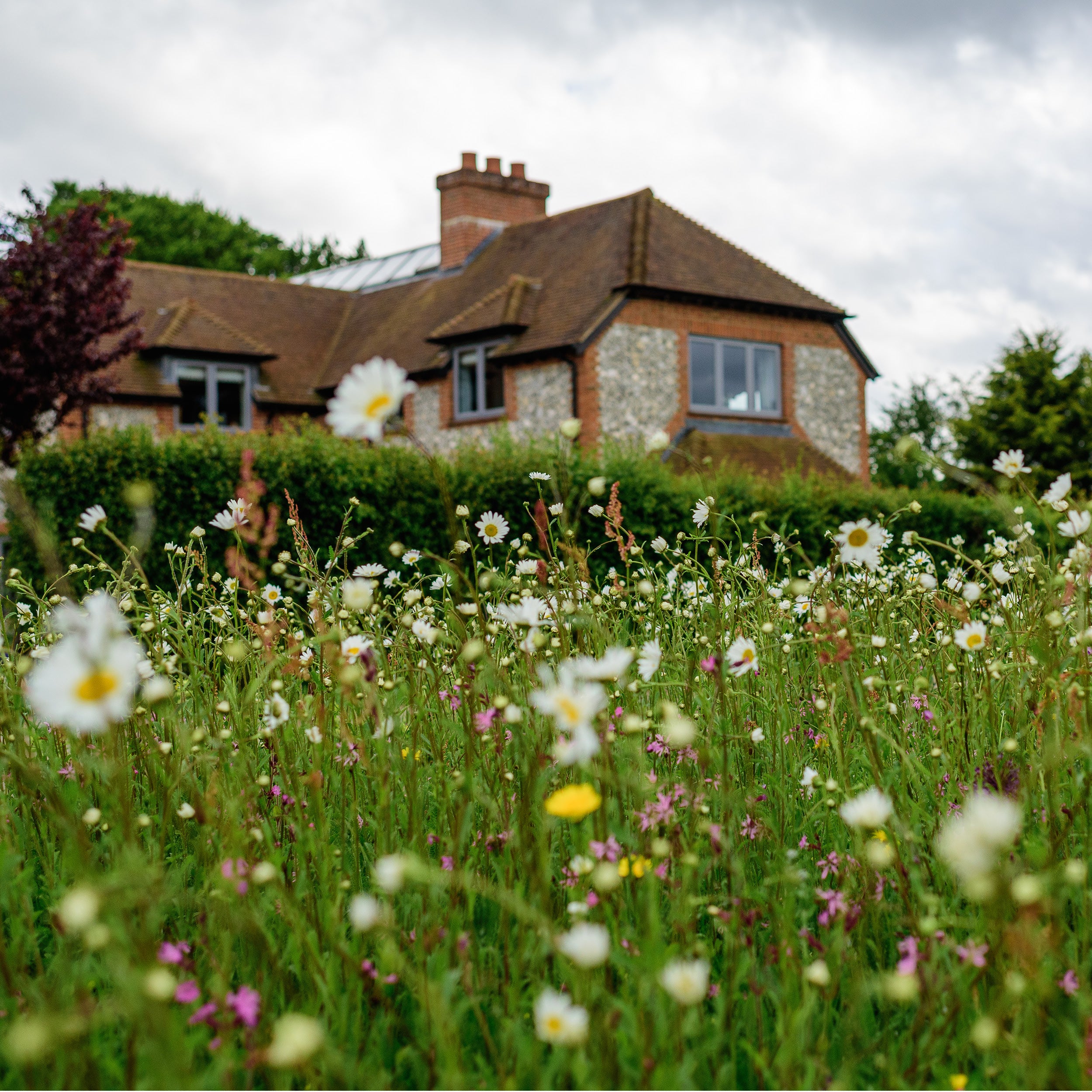House with a garden of wildflowers on a cloudy day