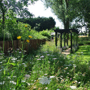 Garden with wildflowers, wooden fence, and arbor on a sunny day