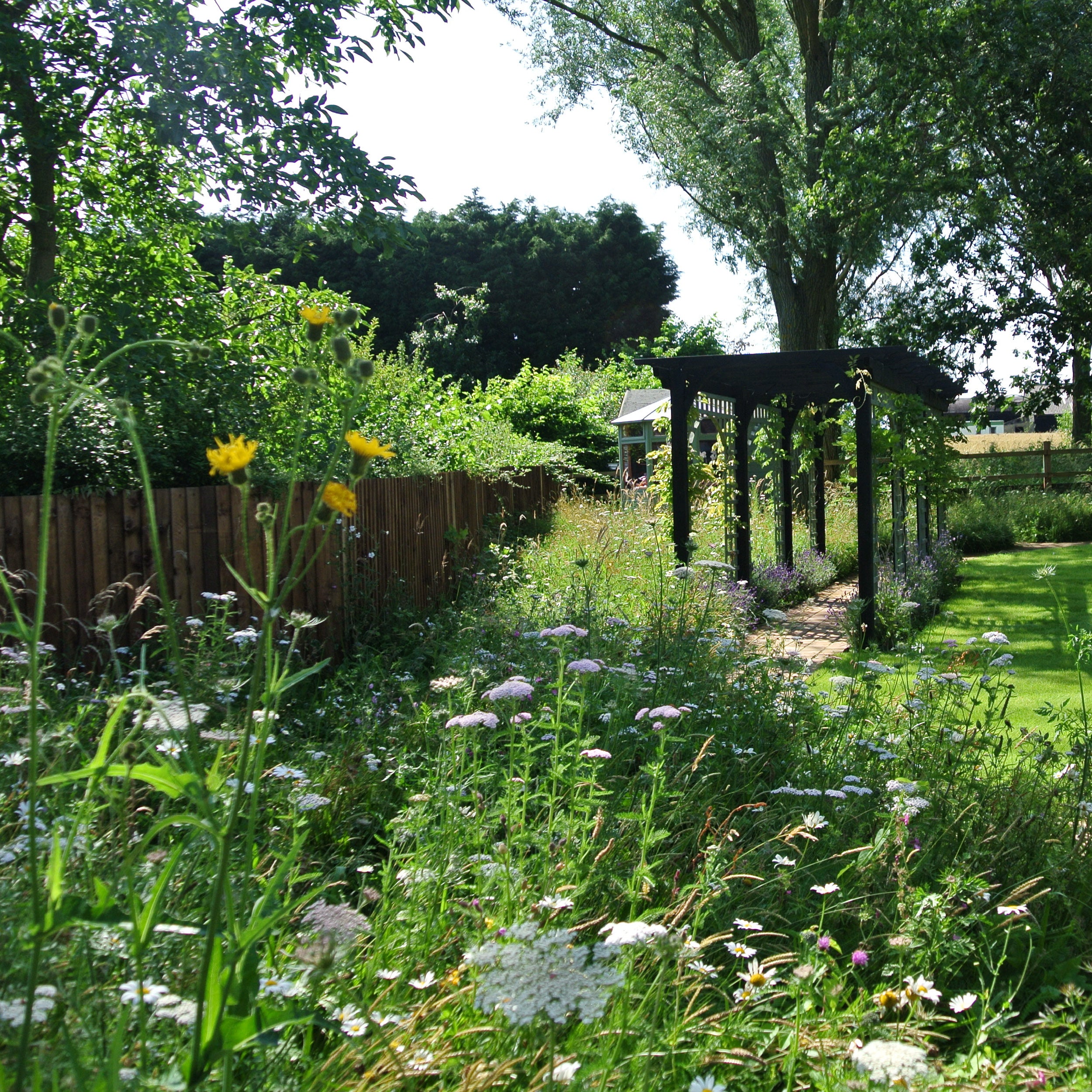 Garden with wildflowers, wooden fence, and arbor on a sunny day