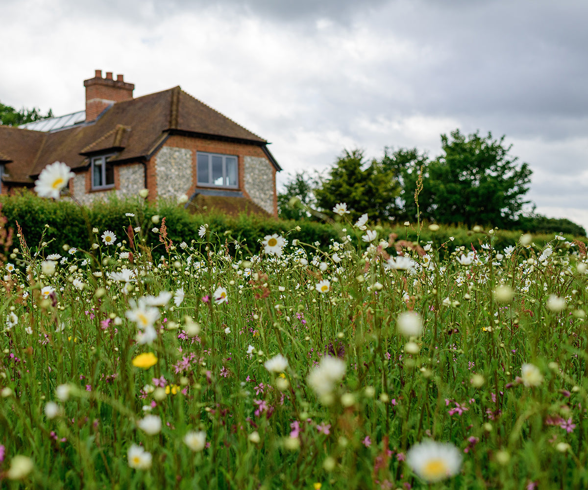 Wild_Flower_Turf_Company_-_Day_2_2_Cocks_and_Frogmore_-_High_Resolution_4_of_58.jpg
