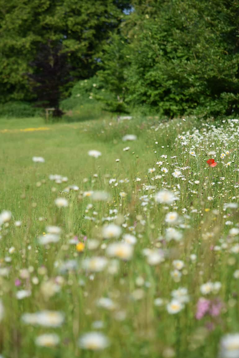 field_1.jpg
